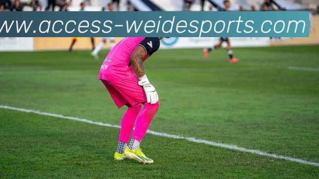 广州有几支CBA球队？城市篮球发展观察